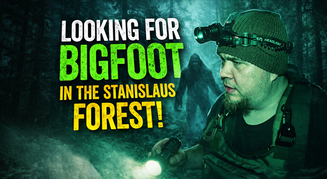 bigfoot stanislaus forest avery