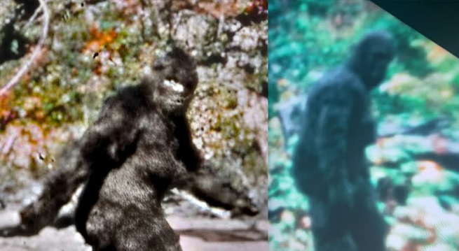 capturing bigfoot
